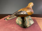 Mid-Century Soapstone Quail