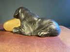Poole Pottery Black Labrador