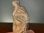 Grand Tour-Style Classical Bust