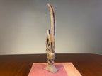 Carved Wooden Antelope Sculpture in the Chi Wara Style — product photograph 1