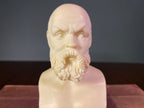 Vintage Cast-Alabaster Bust of Socrates