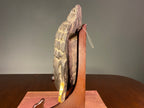 Carved Wooden Buddha Wall Mask