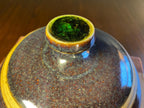 Studio Pottery Cheese Cloche with Glass Knob